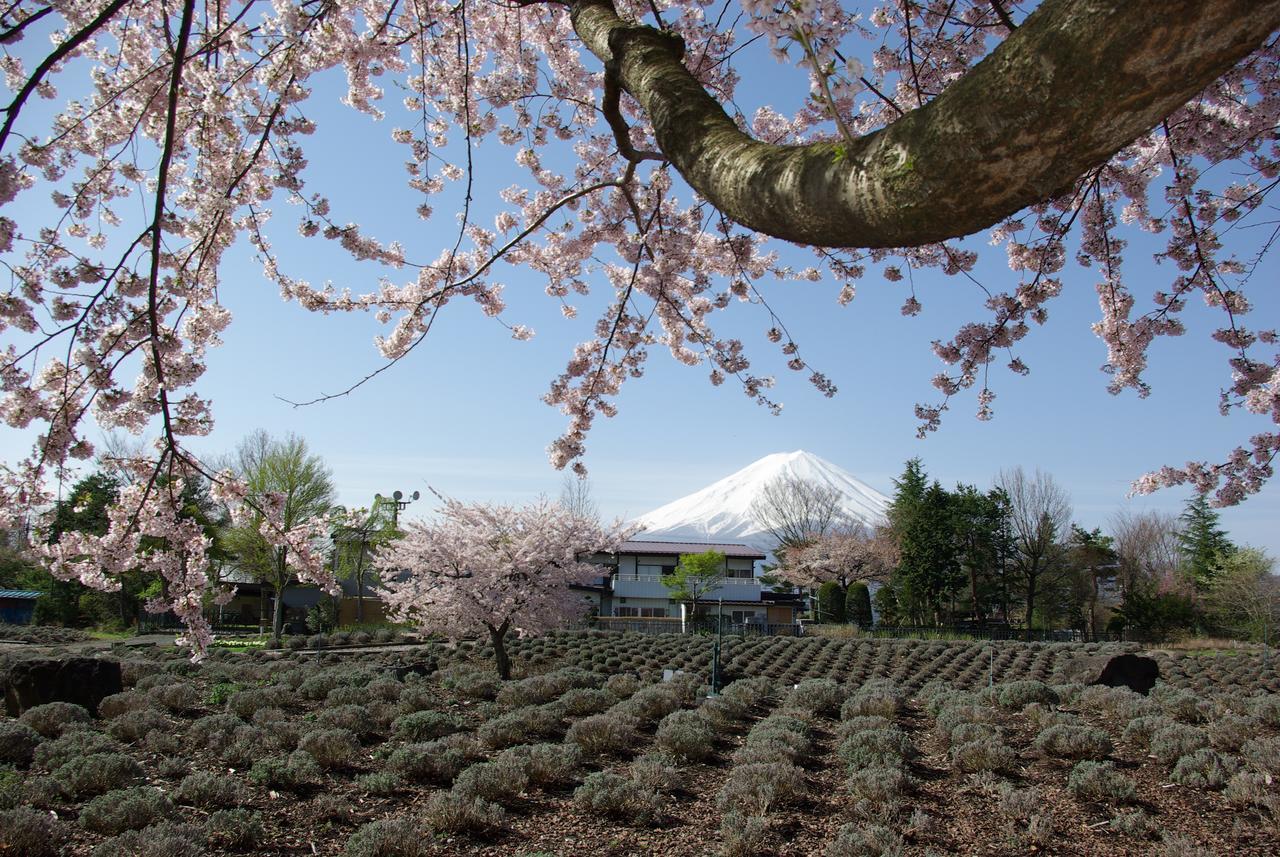 Togawaso Hotel Fujikawaguchiko Eksteriør billede